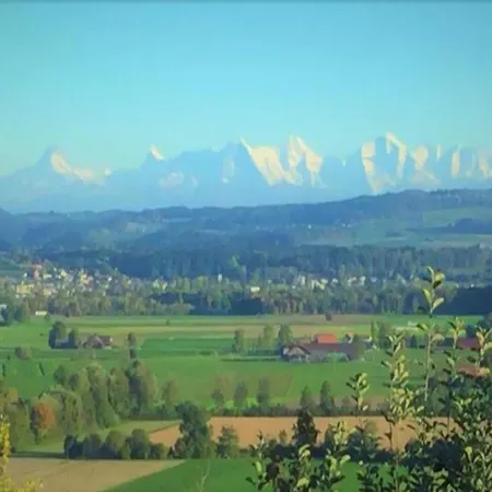 Tranquil Escape In Hallschlag, Cleaning Included *