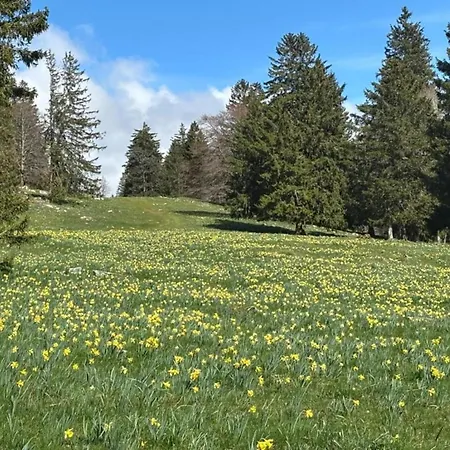 Tranquil Escape In Hallschlag, Cleaning Included